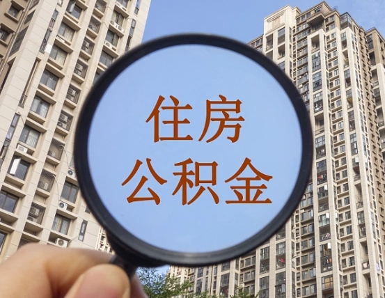 新野代办公积金（代办公积金提取可靠吗）